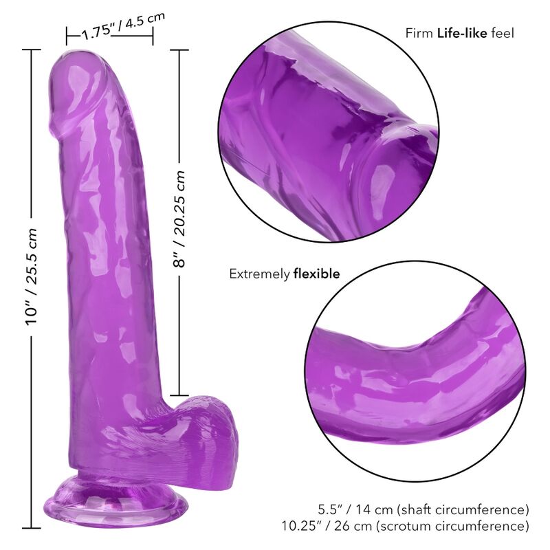 Calexotics Regina - Accessorio intimo, colore viola 20.3 cm - in mano per le dimensioni