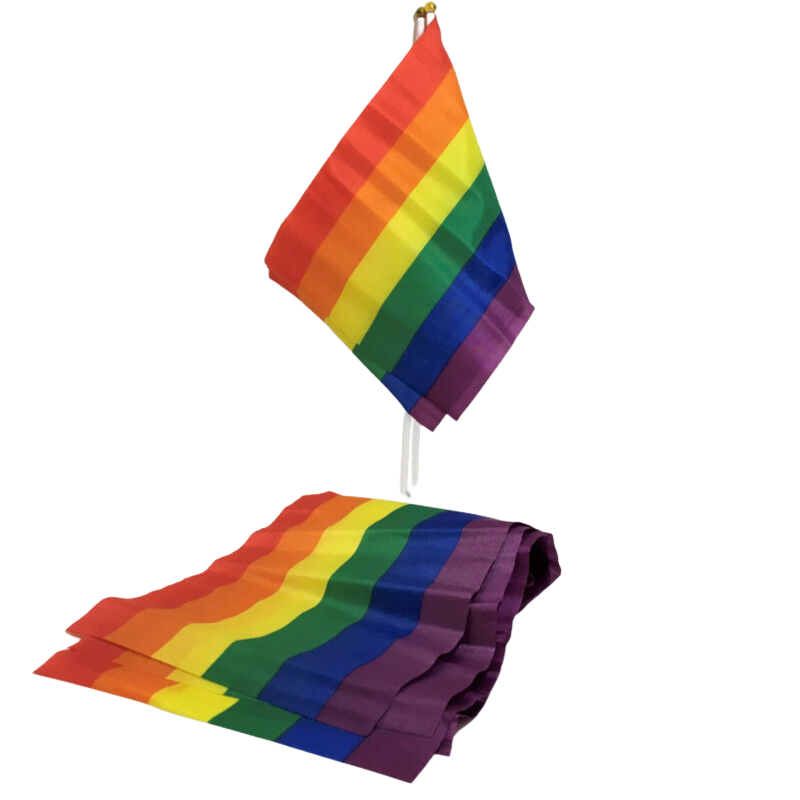 Pride Bandiera Piccola Bandiera Lgbt - Accessorio intimo