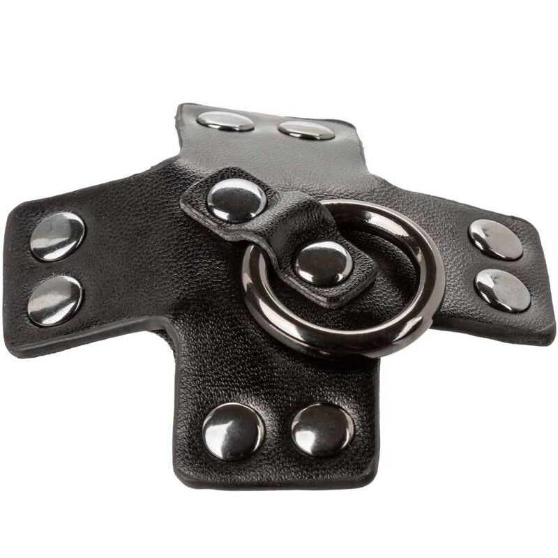 Calexotics Euphoria O Ring - Lingerie - in mano per le dimensioni