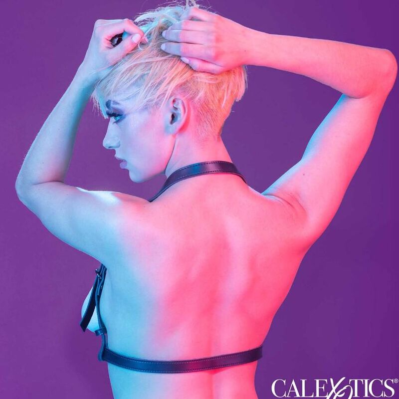 Calexotics Euphoria Imbracatura - Accessorio intimo - retro