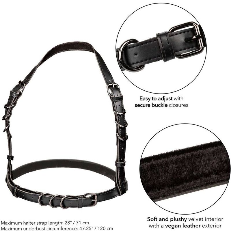 Calexotics Euphoria Imbracatura - Accessorio intimo - in mano per le dimensioni