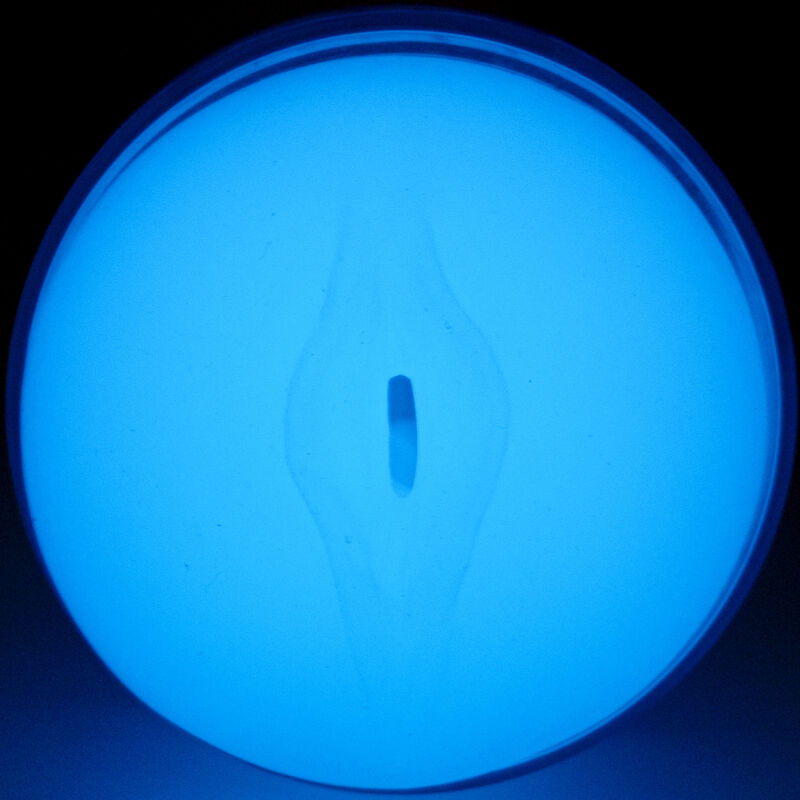 Kiiroo Sentire - Dispositivo per uomo - nella confezione