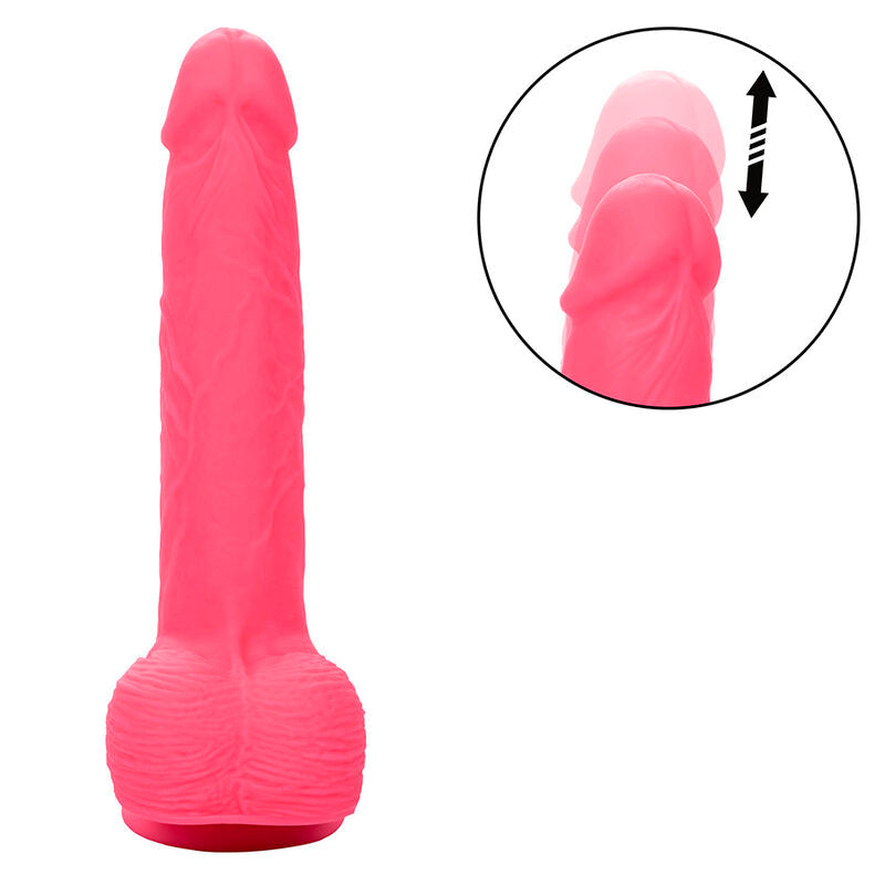 Calexotics Studs - Accessorio intimo - retro