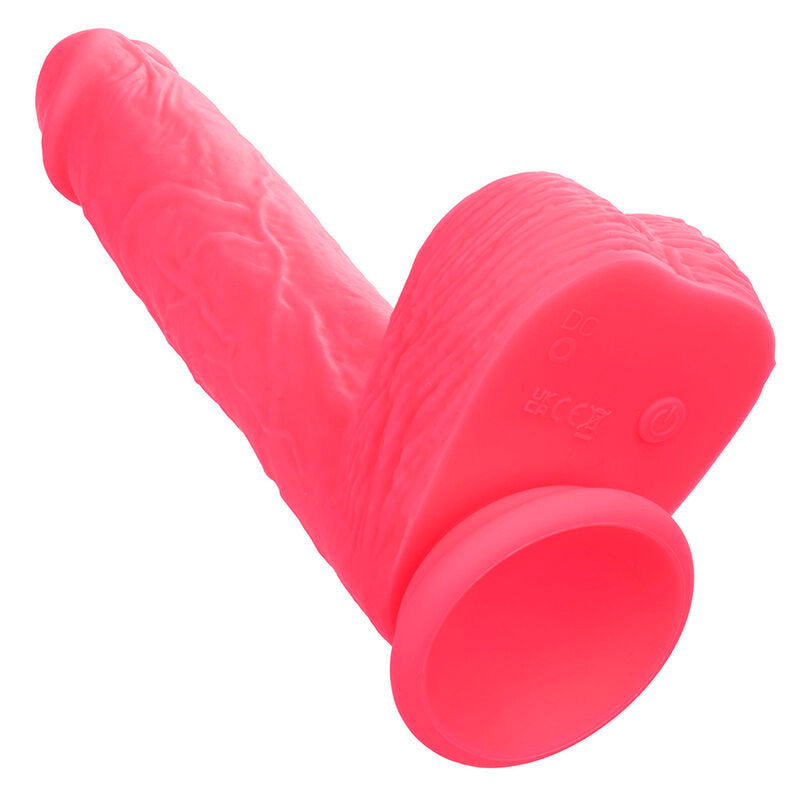 Calexotics Studs - Accessorio intimo - nella confezione