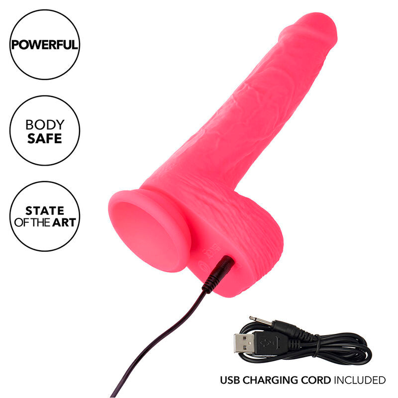 Calexotics Studs - Accessorio intimo - vista frontale