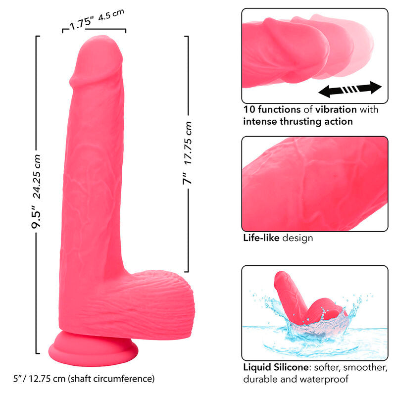 Calexotics Studs - Accessorio intimo - vista laterale