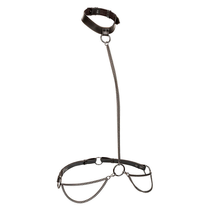 Calexotics Euphoria Collare - Accessorio intimo - vista laterale