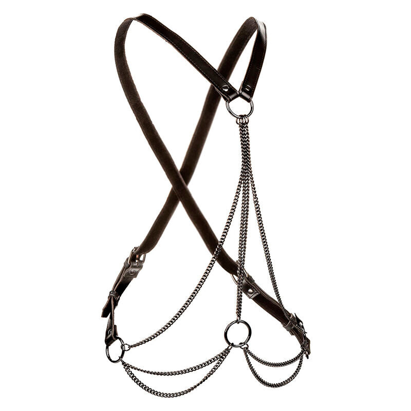 Calexotics Euphoria Multichain Harness Premium - Accessorio intimo - vista laterale