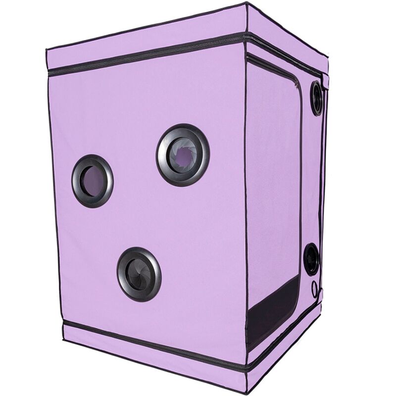 Secret Dome Kink Club Cabin Scandale - Accessorio intimo, colore viola