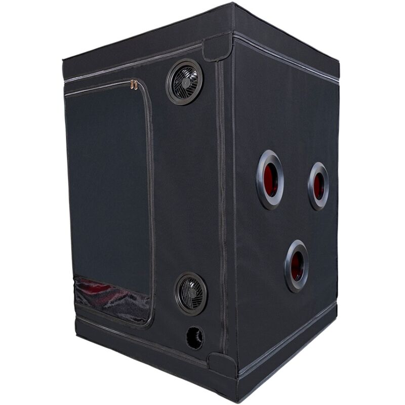 Secret Dome Kink Club Cabin Scandale - Accessorio intimo, colore nero rosso - dettaglio