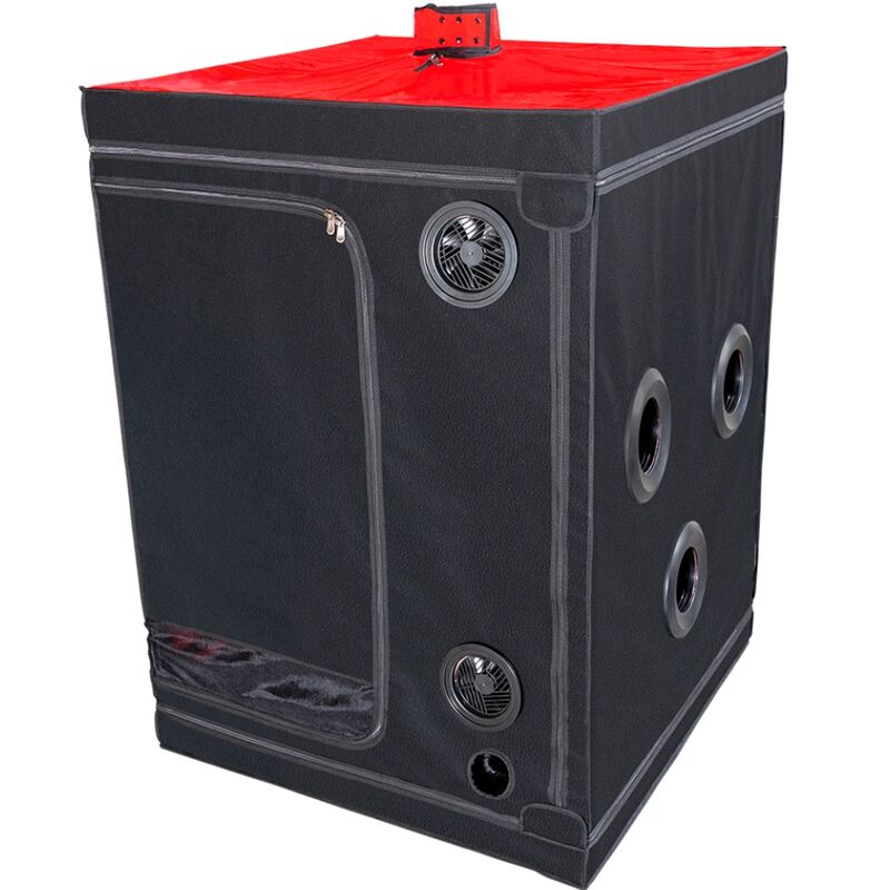 Secret Dome Kink Club Cabin Scandale - Accessorio intimo, colore nero rosso - nella confezione