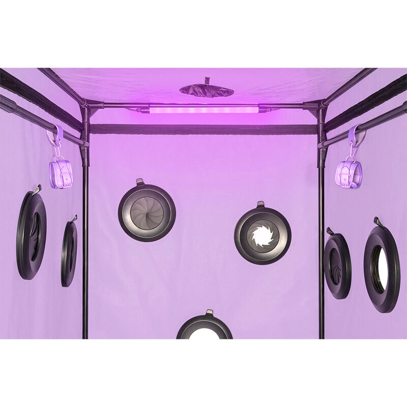 Secret Dome Kink Club Cabin Scandale - Accessorio intimo, colore viola - vista frontale