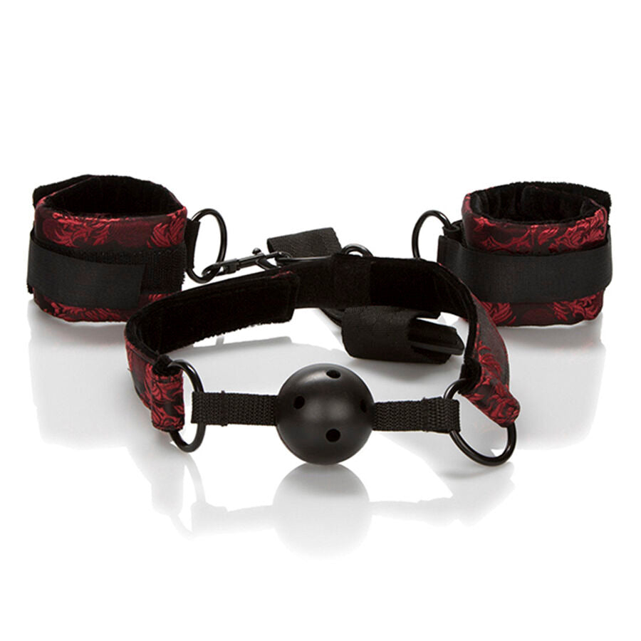 Calexotics Scandal Ball Gag Traspirante - Accessorio intimo