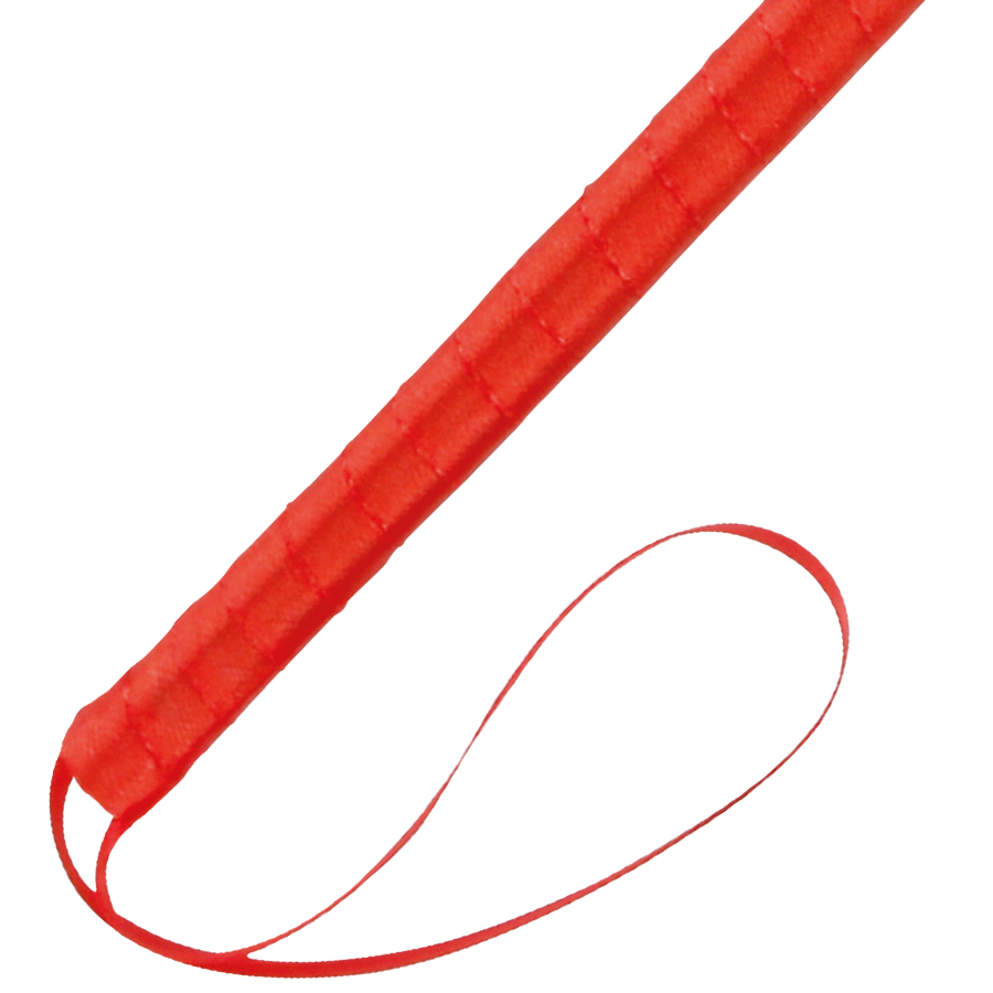 Darkness Penna Stimolante - Lingerie, colore rossa 24cm - nella confezione